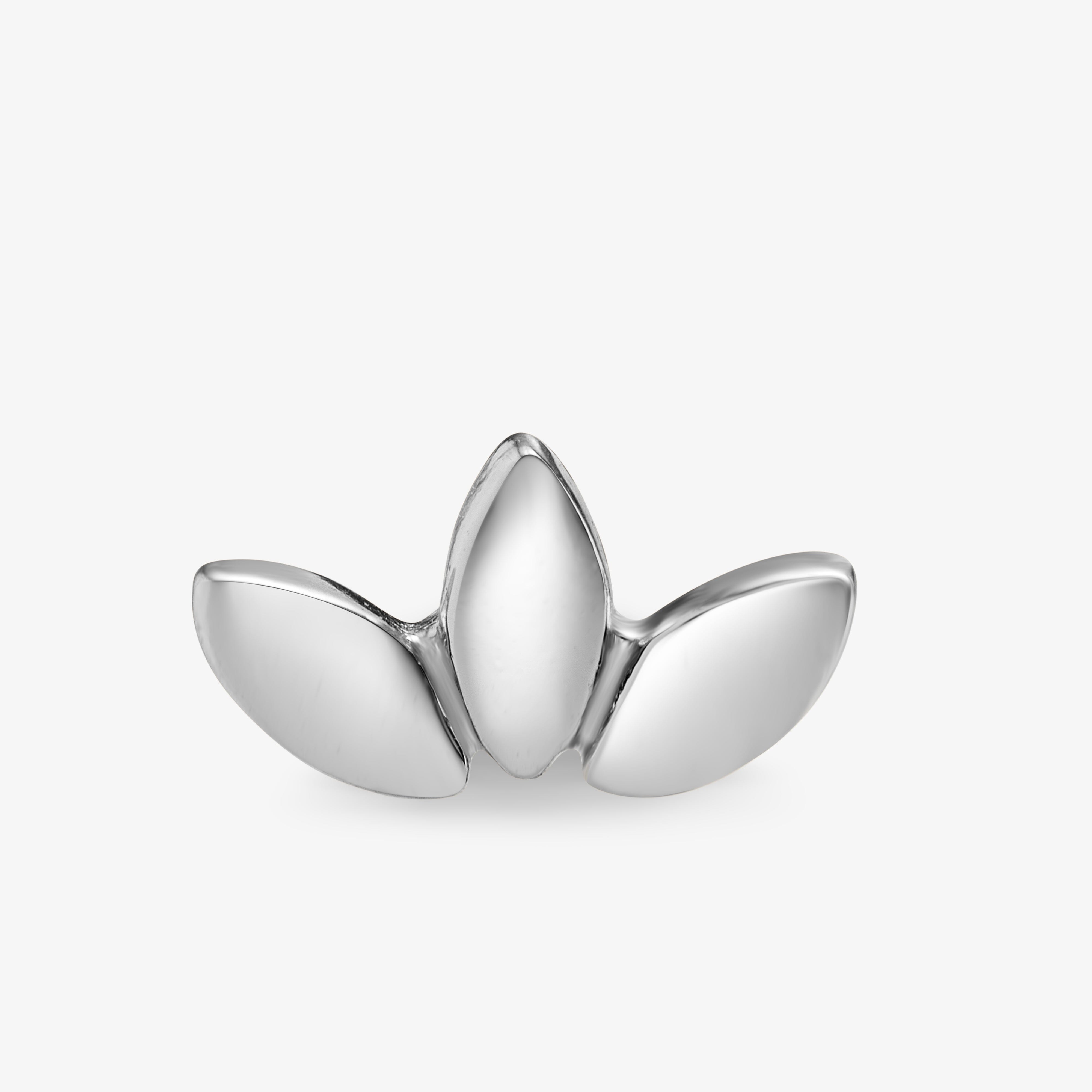 Muse Barre Nébuleuse