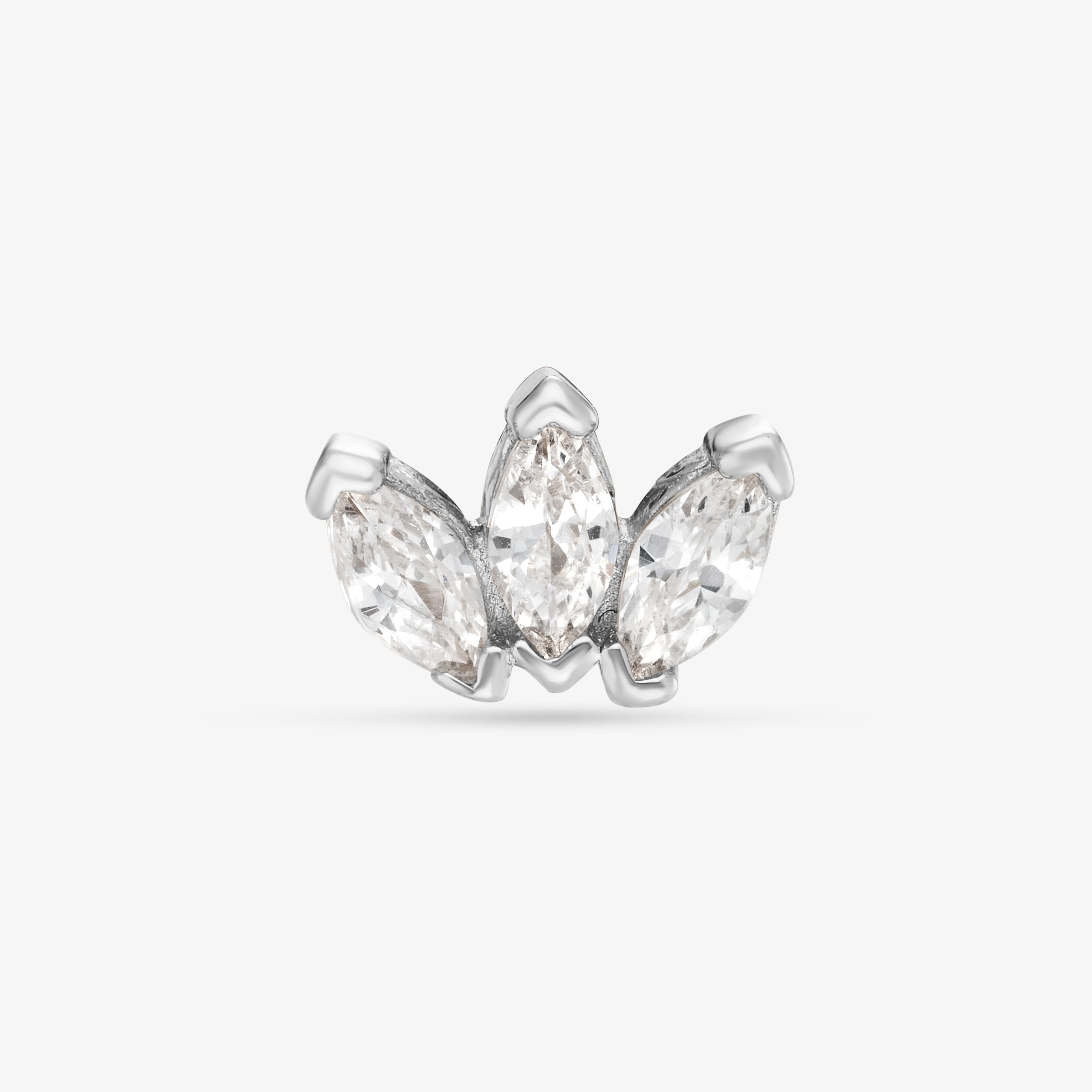 Lotus Barre Nébuleuse