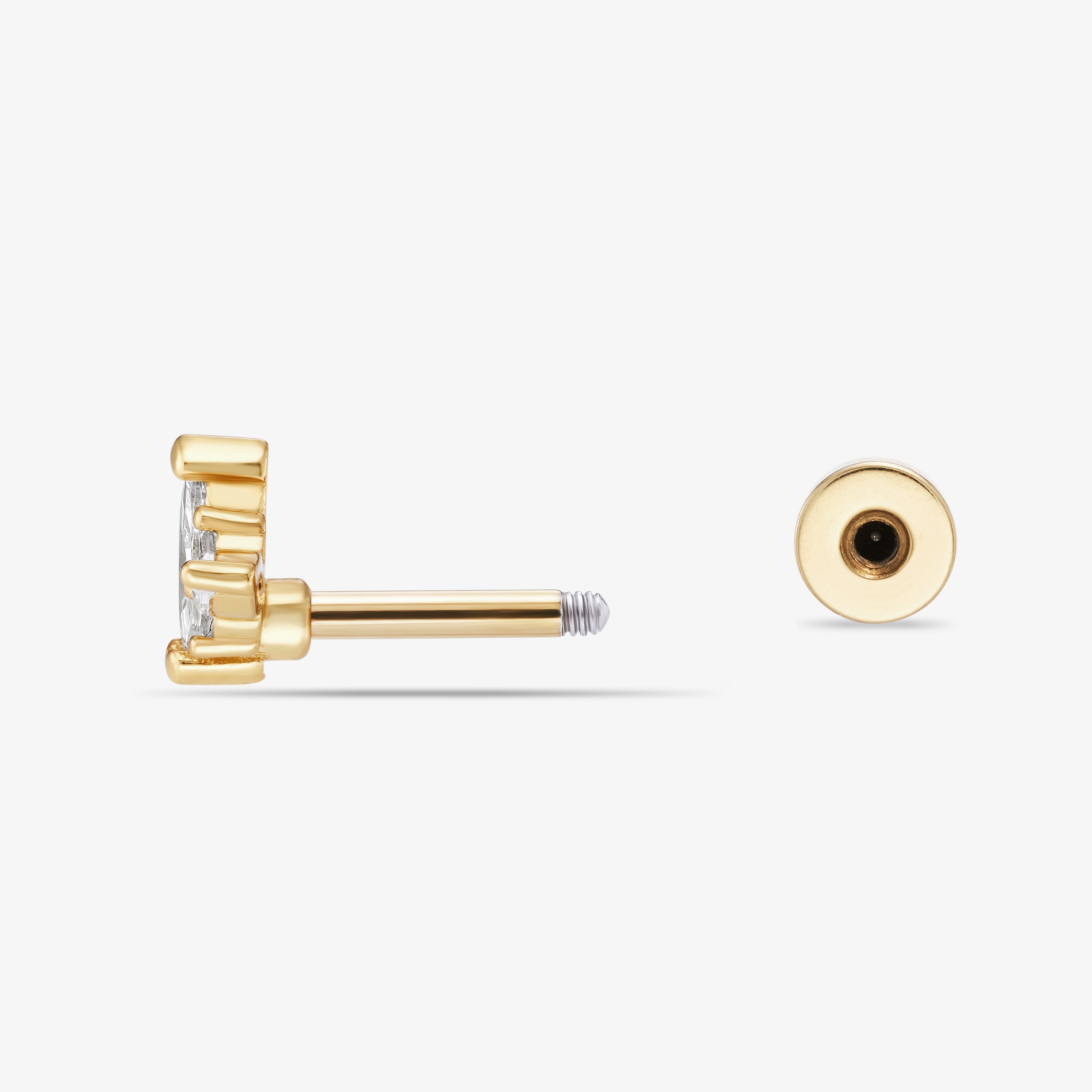 Léonie Barre Nébuleuse