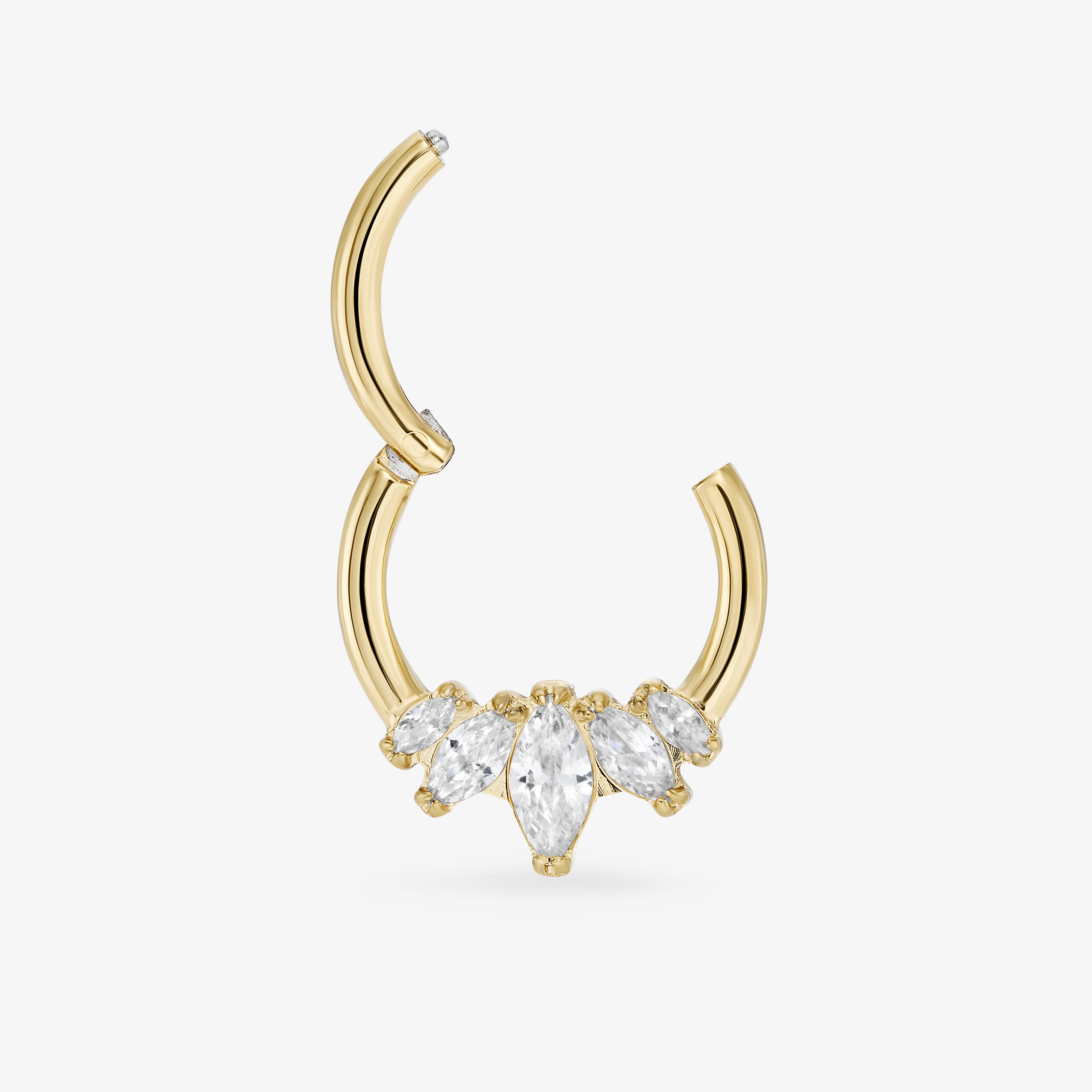 Daith Panthère Blanche