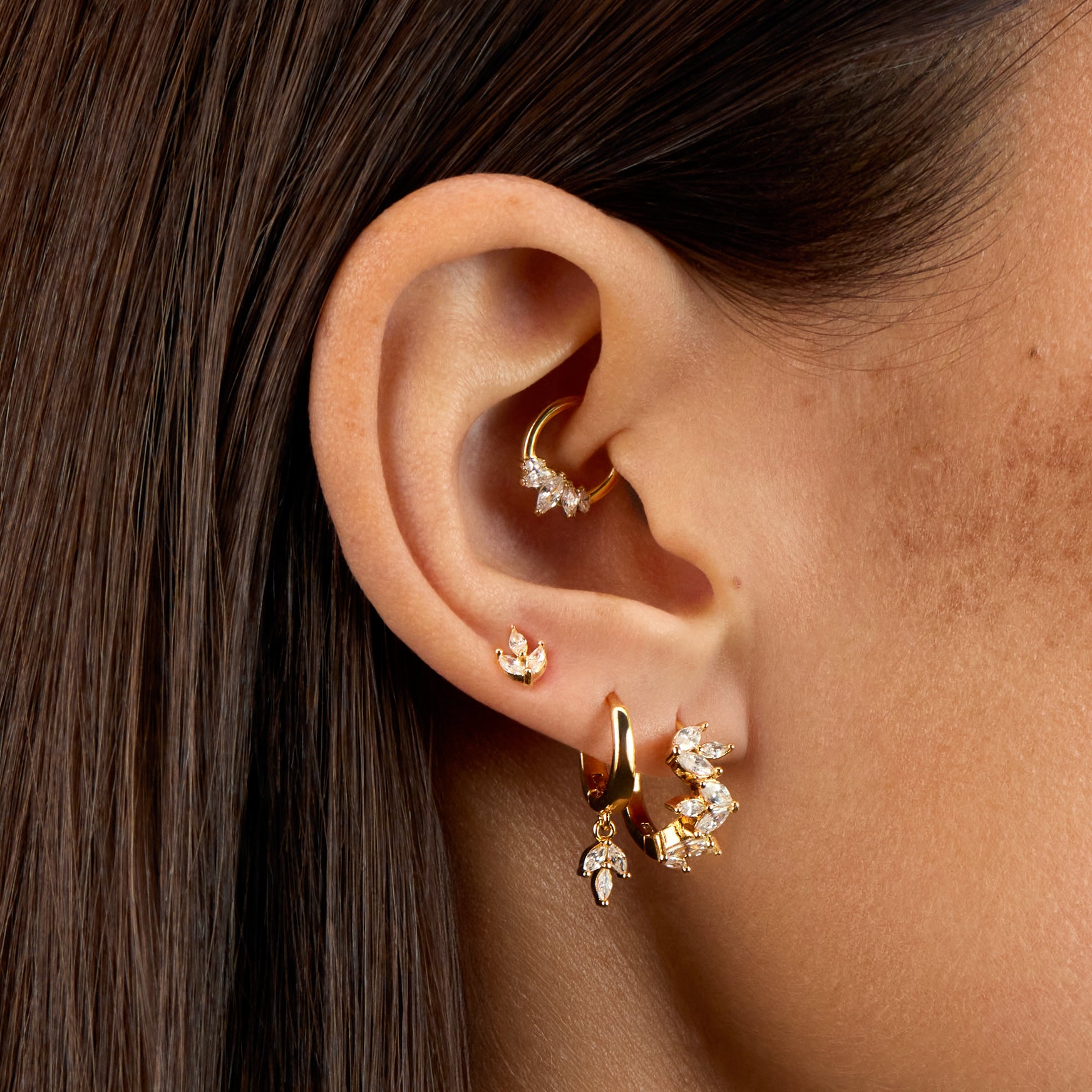 Daith Panthère Blanche