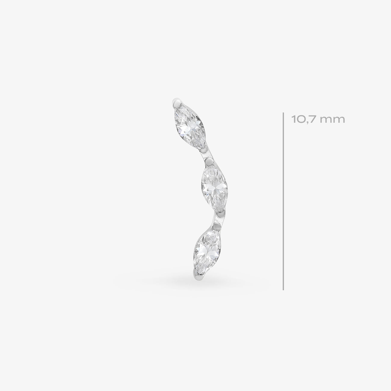 Féline Blanche Titane