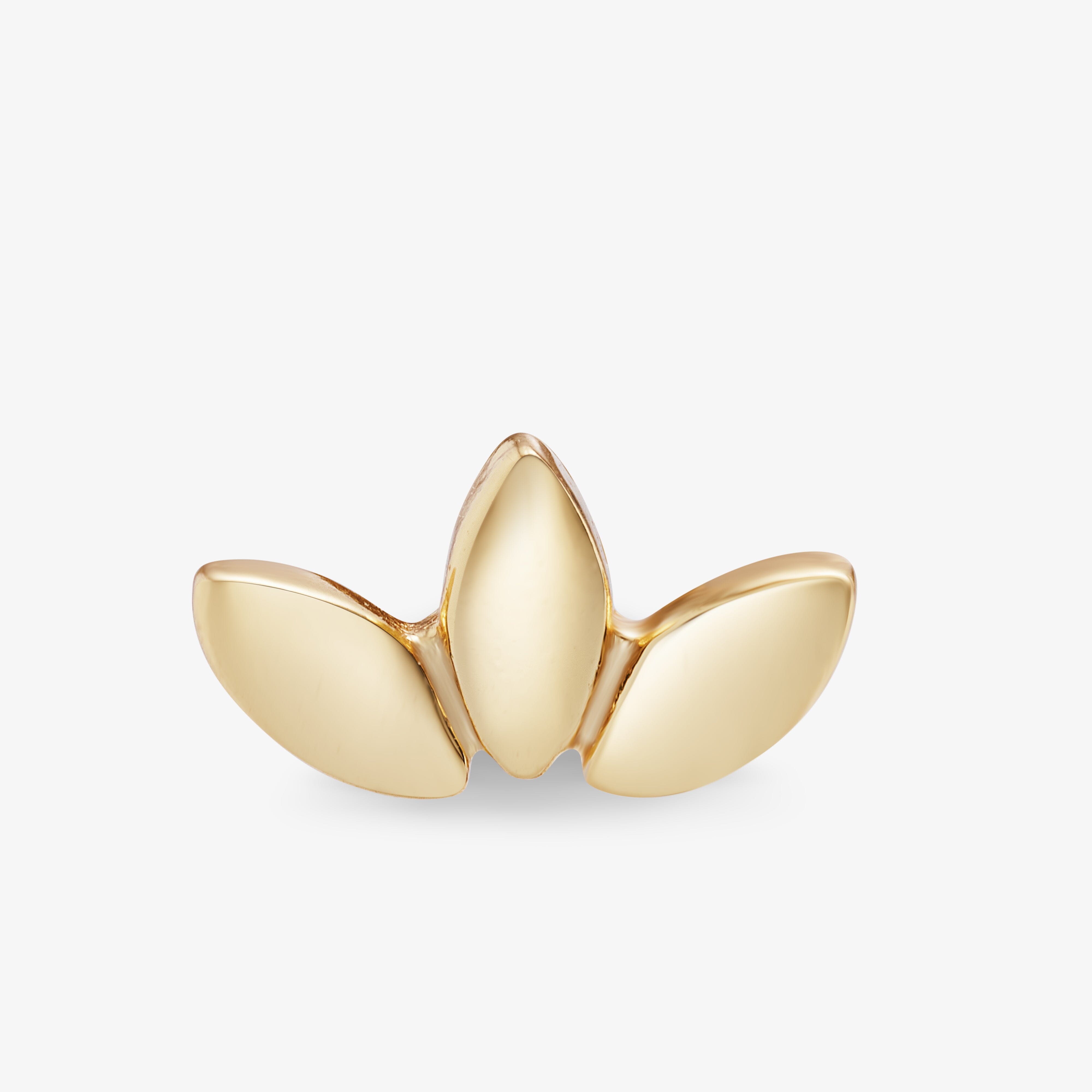 Muse Barre Nébuleuse 