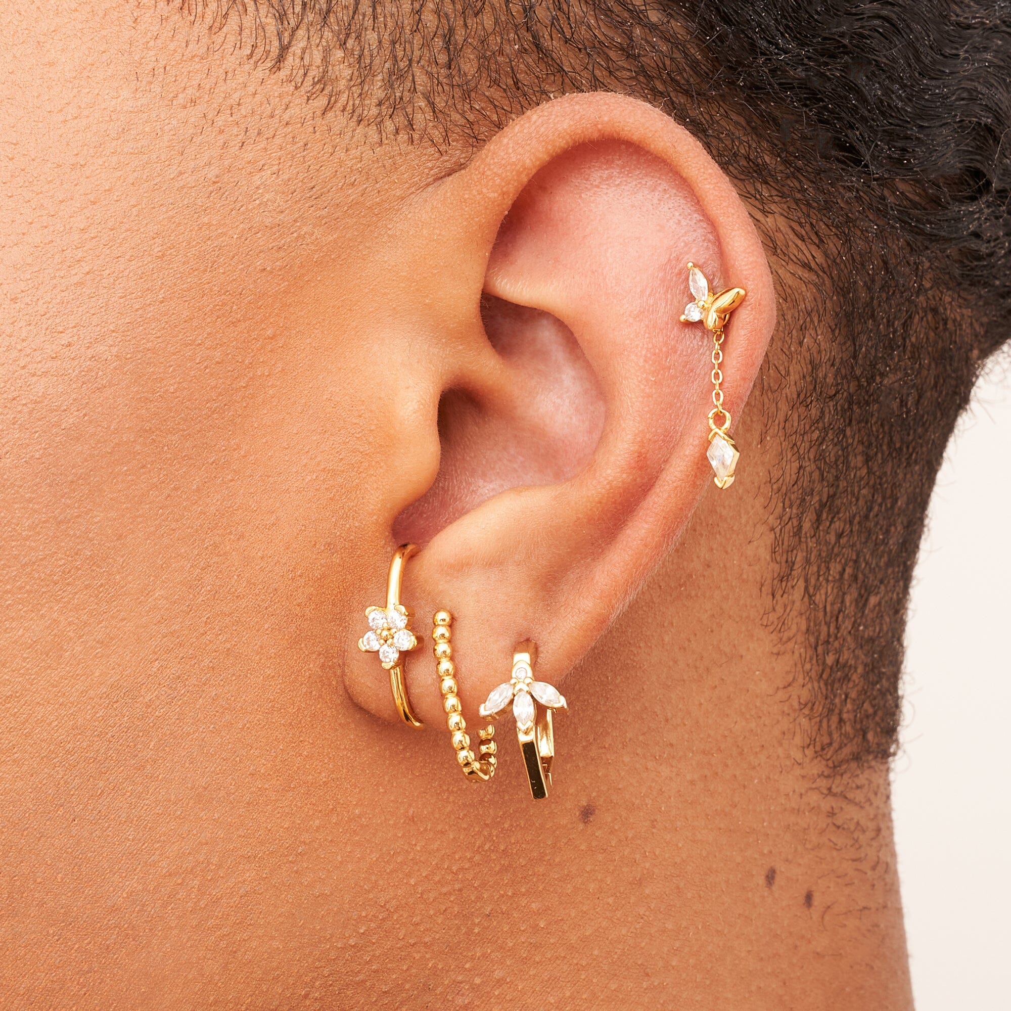 Marguerite Puce Nébuleuse 