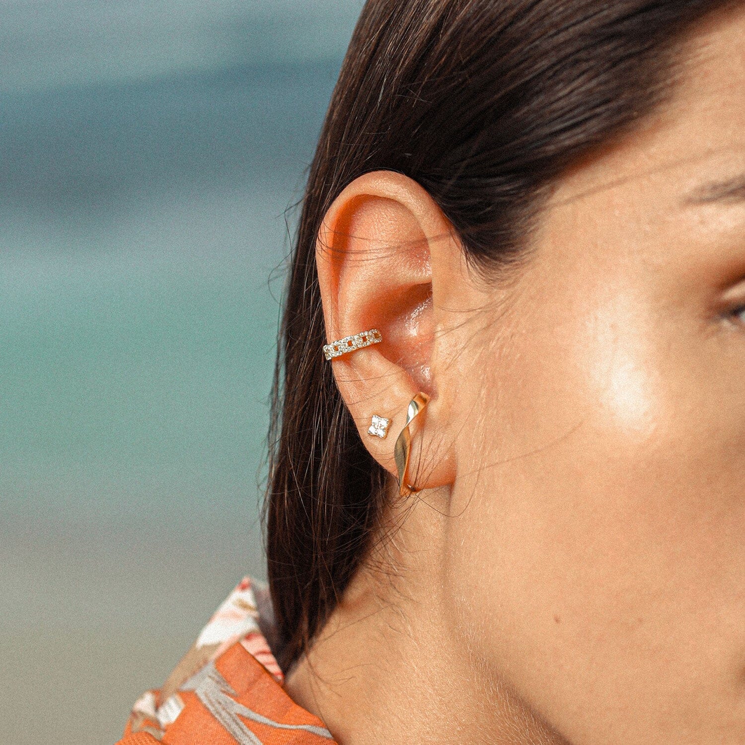 Venus Puce Nébuleuse 